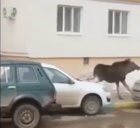 Кадр из видео в YouTube